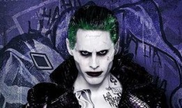 新龙小丑爆料视频大全,揭秘幕后真相与精彩瞬间