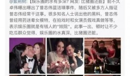 圈内爆料娱乐圈,揭秘明星背后的故事与真相
