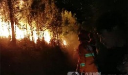 桂平山火最新爆料,火势蔓延，救援行动紧张进行中