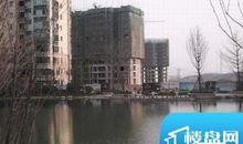 信阳恒大最新爆料,揭秘项目进展与未来规划